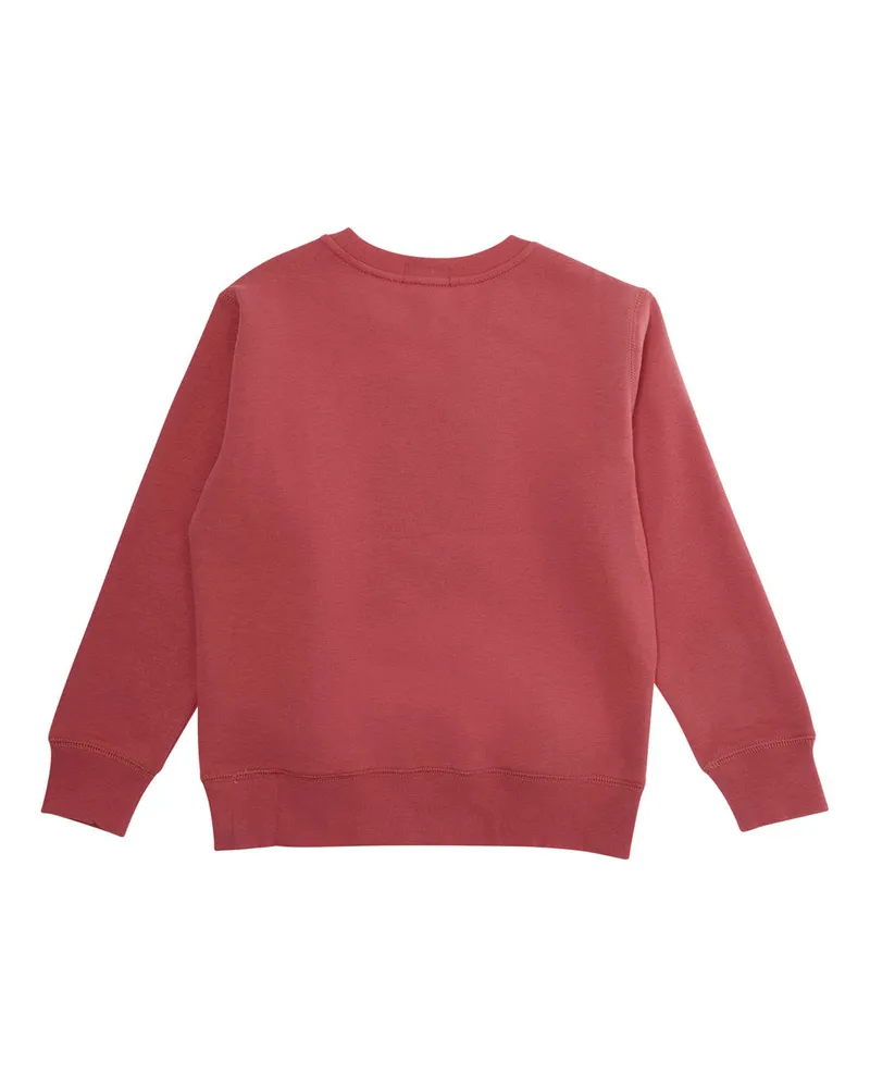 Ralph Lauren Boys' Crewneck Sweatshirt Red Cotton Hoods & Sweatshirts Red