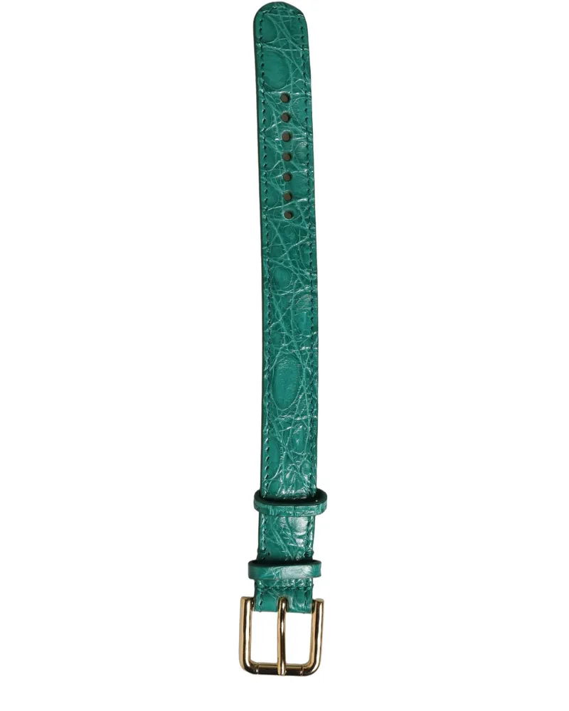 Dolce & Gabbana Caiman Leather with Gold Buckle Belt — Green Green
