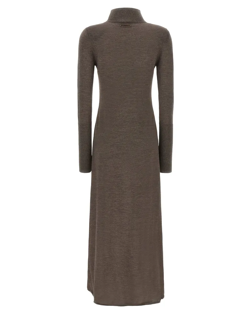 Pinko Turtleneck Dress Brown