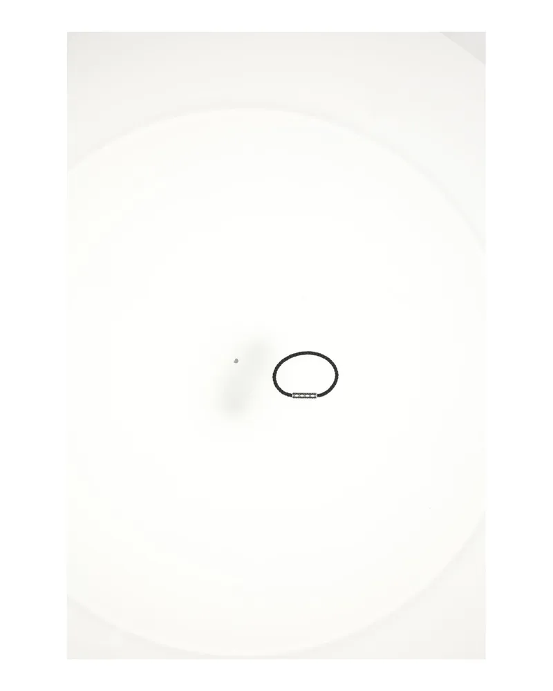 Dior Men's Bracelet Cannage Palladium Palladium-Multicolour Calf Leather (bos Taurus) Bracelets Palladium/multicolour Silver