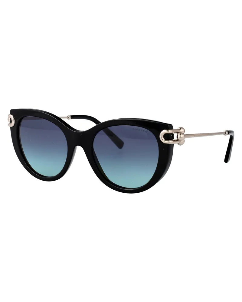 Tiffany & Co. Women's Sunglasses 0tf4232 Black Acetate Black
