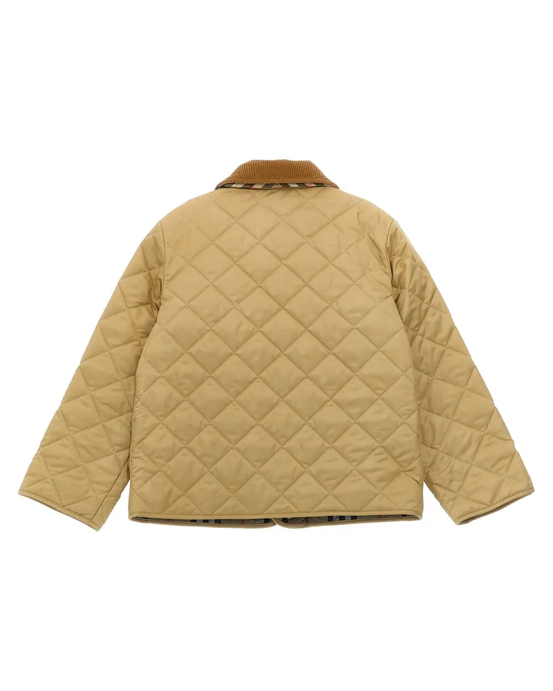 Burberry Jacket 