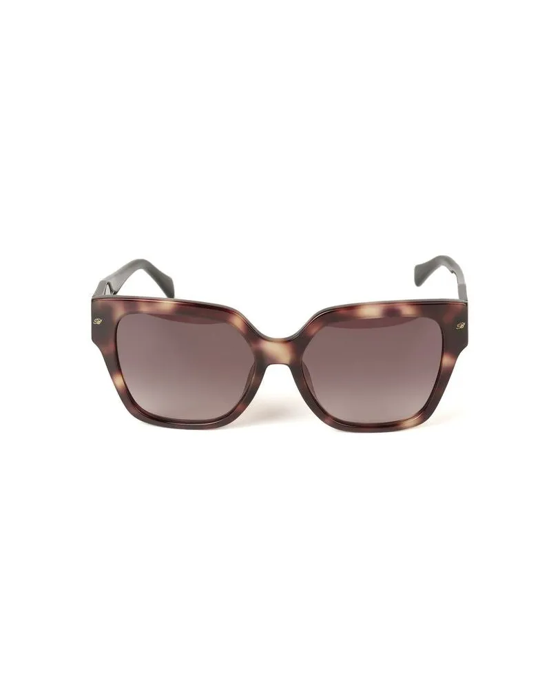 Blumarine SBM905 Havana Brown Acetate Sunglasses — Brown Brown