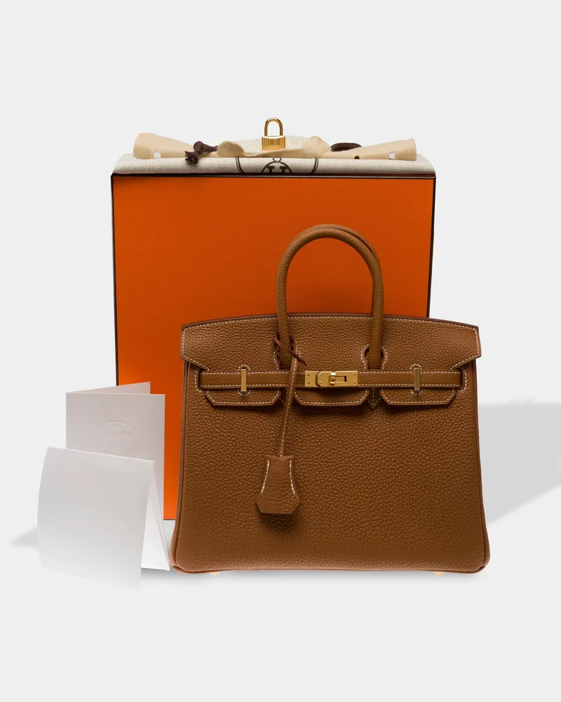 Hermès Birkin 25 Top Handle Bag — Gold Gold