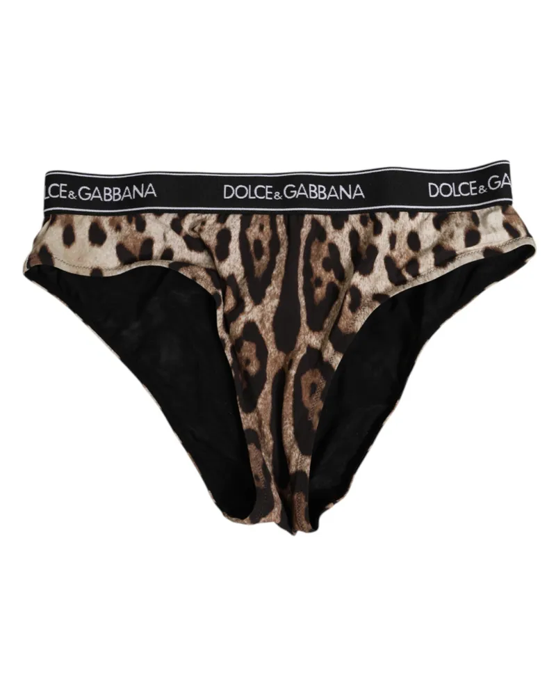 Dolce & Gabbana Women Brown Leopard Nylon High Waist Panty Underwear 20+pa Clothing Brown