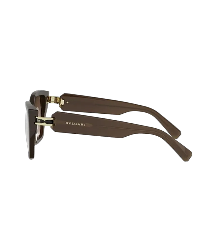 Bulgari Unisex Sunglasses Brown Acetate Brown