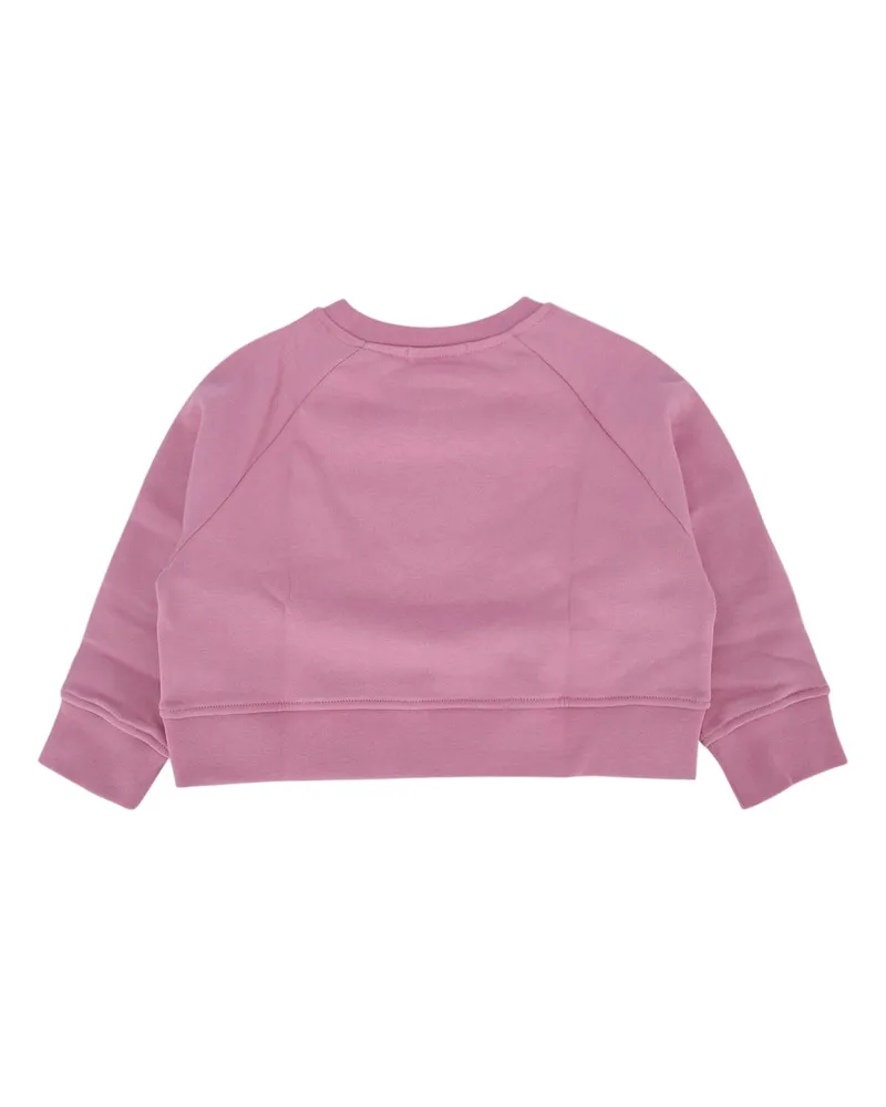 Stella McCartney Kids Boys' Sweatshirt Vintagepink Cotton Felpe Sweater Pink