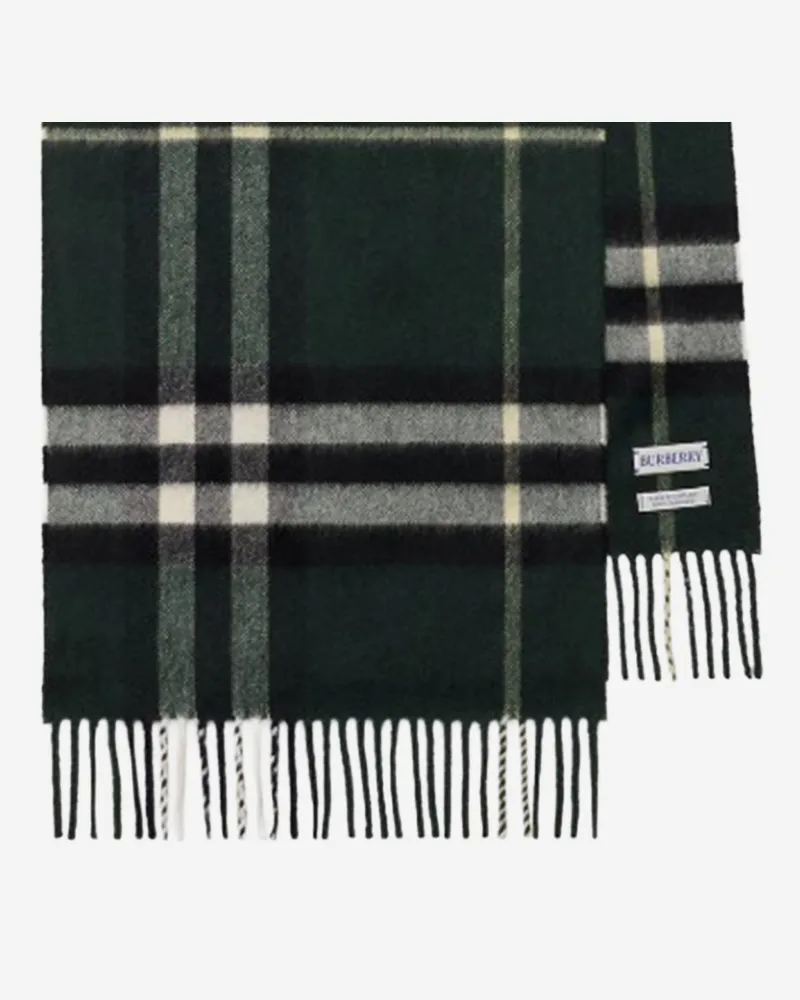 Burberry Women's Scarf Check Cashmere Anchor Green Scarfs Green