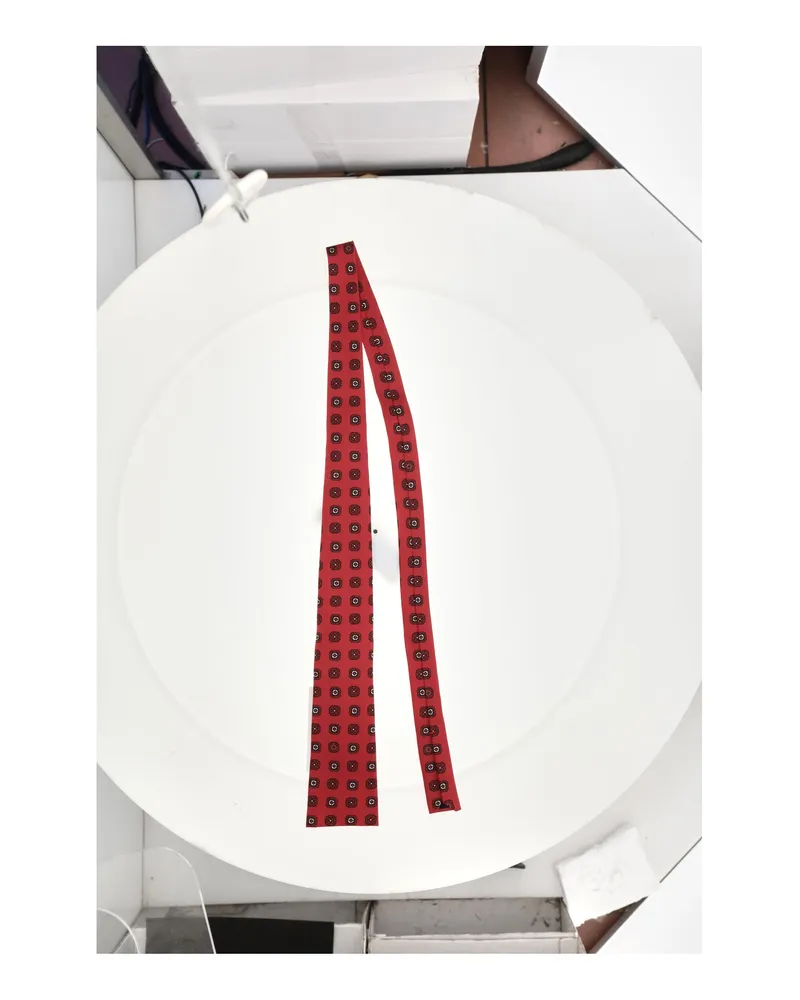Celine Men's Tie Silk Red Ties & Bow Red