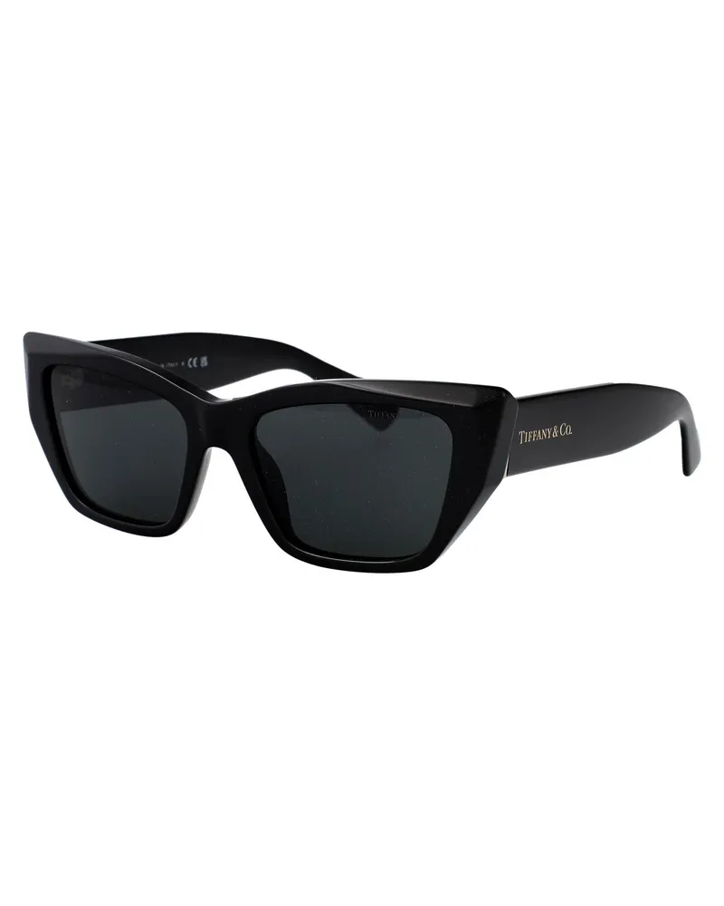 Tiffany & Co. Women's Sunglasses 0tf4230 Black Acetate Black