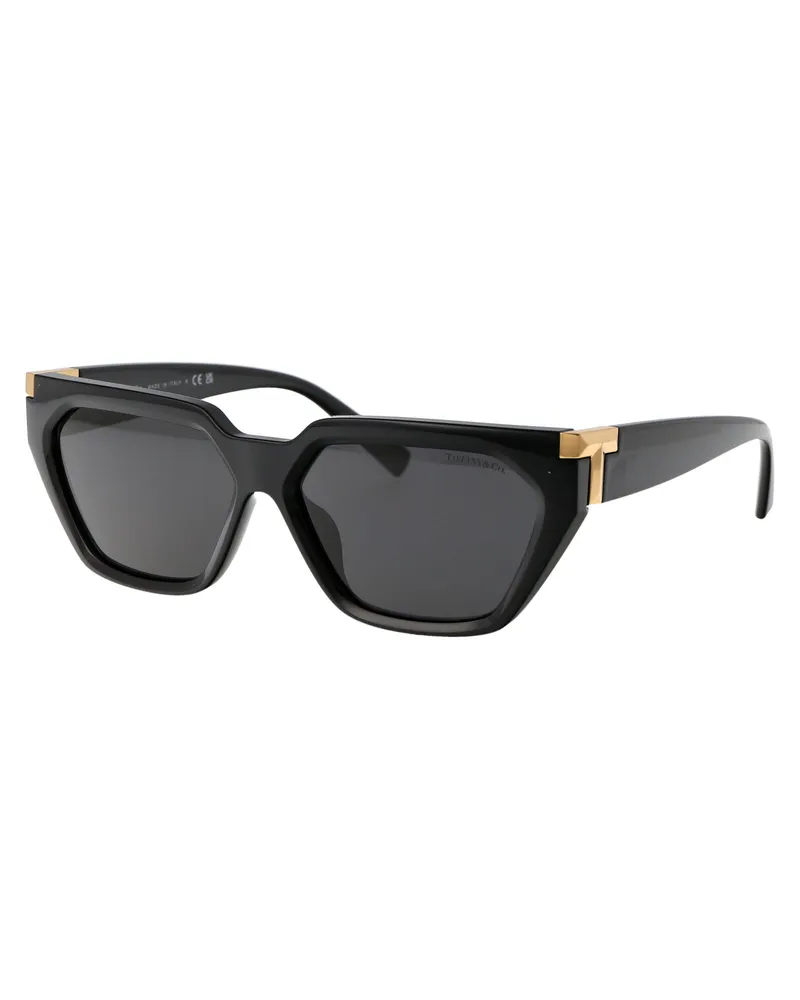 Tiffany & Co. 0TF4205U Injected Frame Sunglasses — Black Black