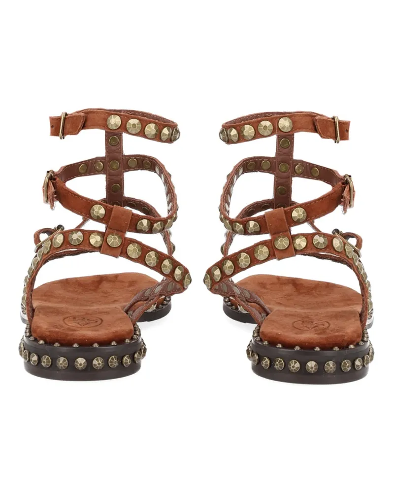 ash Play Sandal — Brown Brown