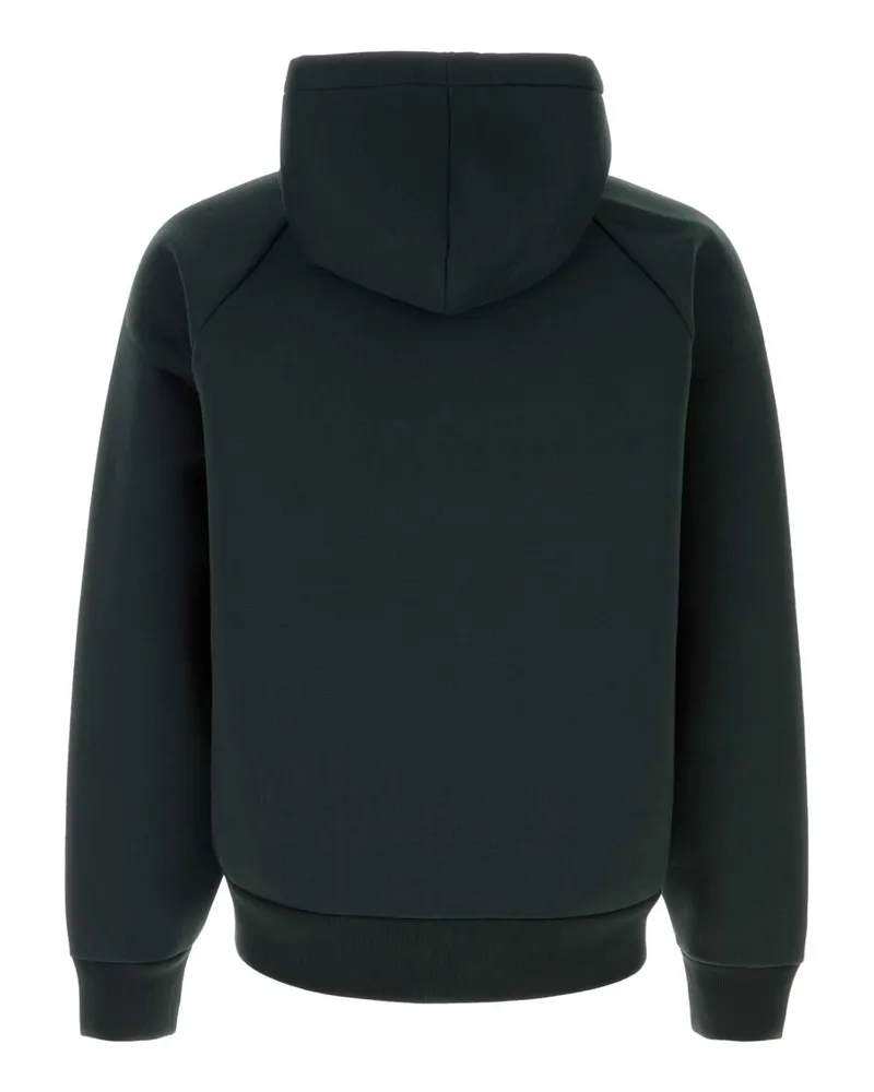 Carhartt WIP Hoodie — Green Green