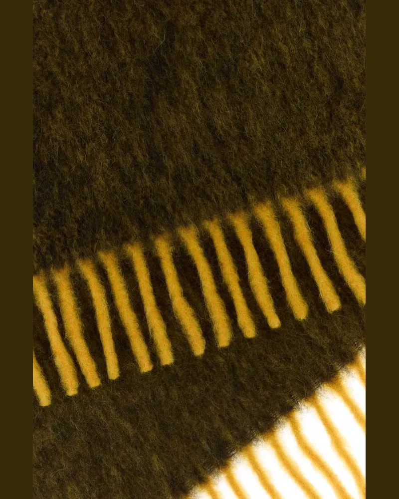 Burberry Unisex Two-Tone Alpaca Blend Scarf Crownyellowtreacle Sciarpe E Foulard Green