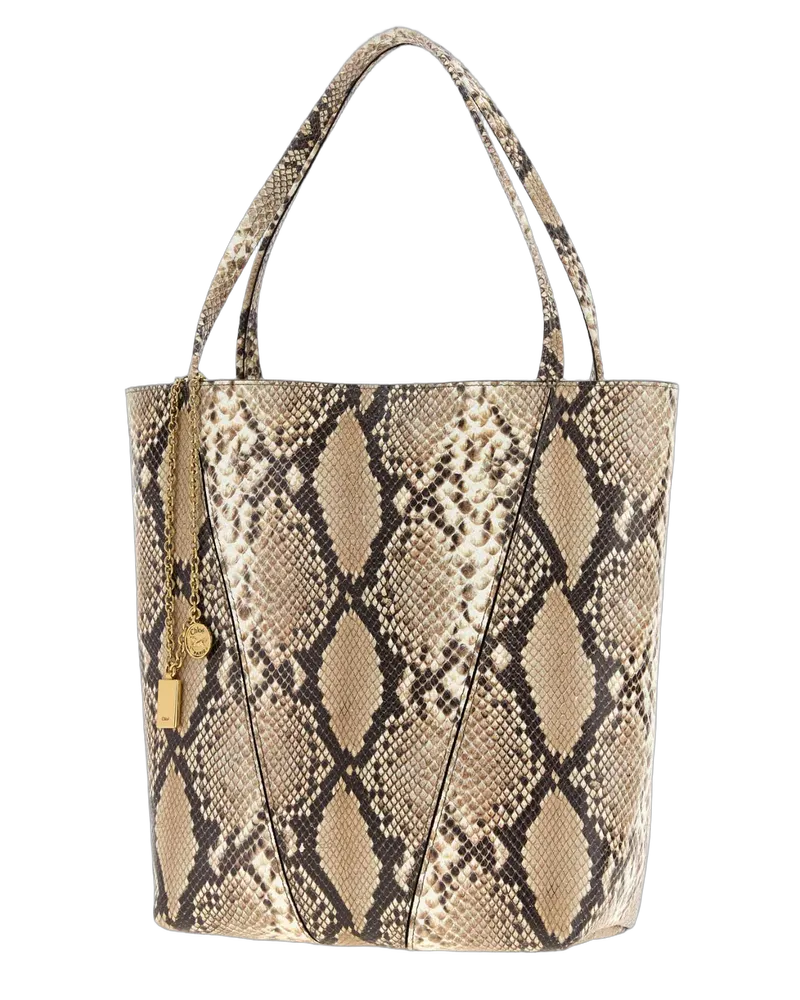 Chloé Dustybeige Borse A Mano Bag Beige