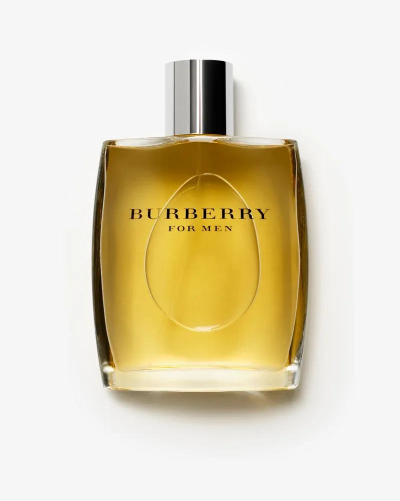 Burberry für Herren Eau de Toilette 100 ml 