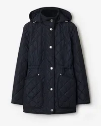 Burberry Nylon-Steppjacke Storm