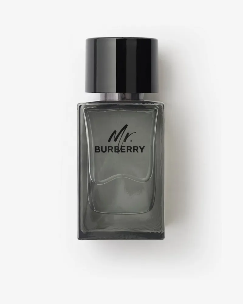 Burberry Mr.  Eau de Toilette 100 ml No