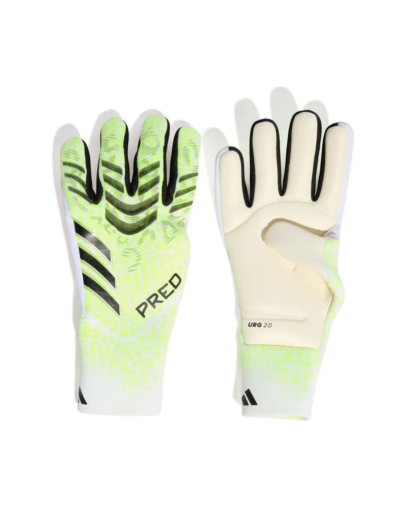 adidas Herren Torwarthandschuhe PREDATOR PRO Weiß