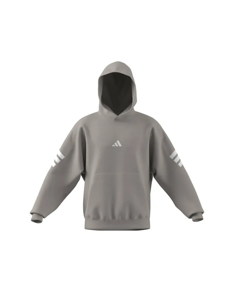 adidas Herren Hoodie Regular Fit Grau