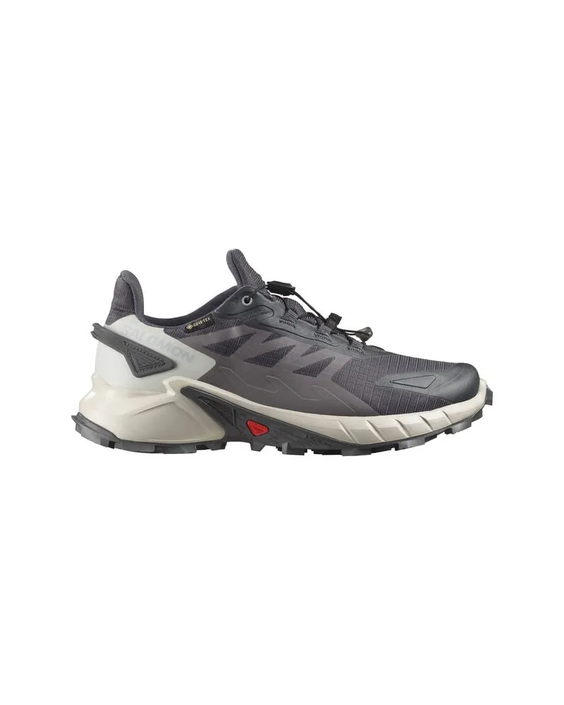 Salomon Damen Trailrunningschuhe SUPERCROSS 4 GTX W Grau