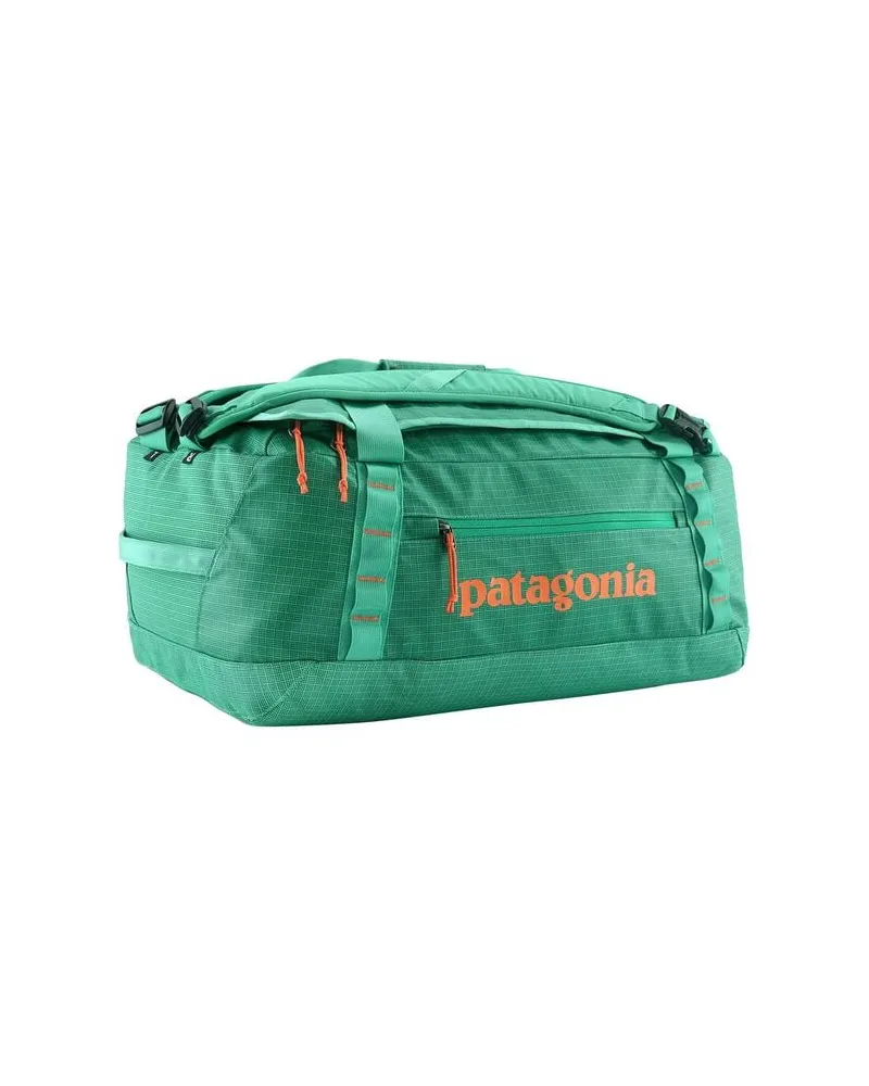 Patagonia Reisetasche BLACK HOLE DUFFEL 40L Grün