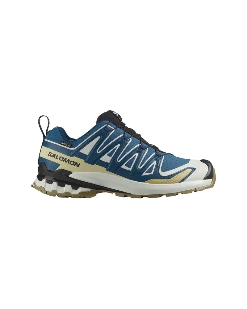 Salomon Herren Trailrunningschuhe XA PRO 3D V9 GTX Blau