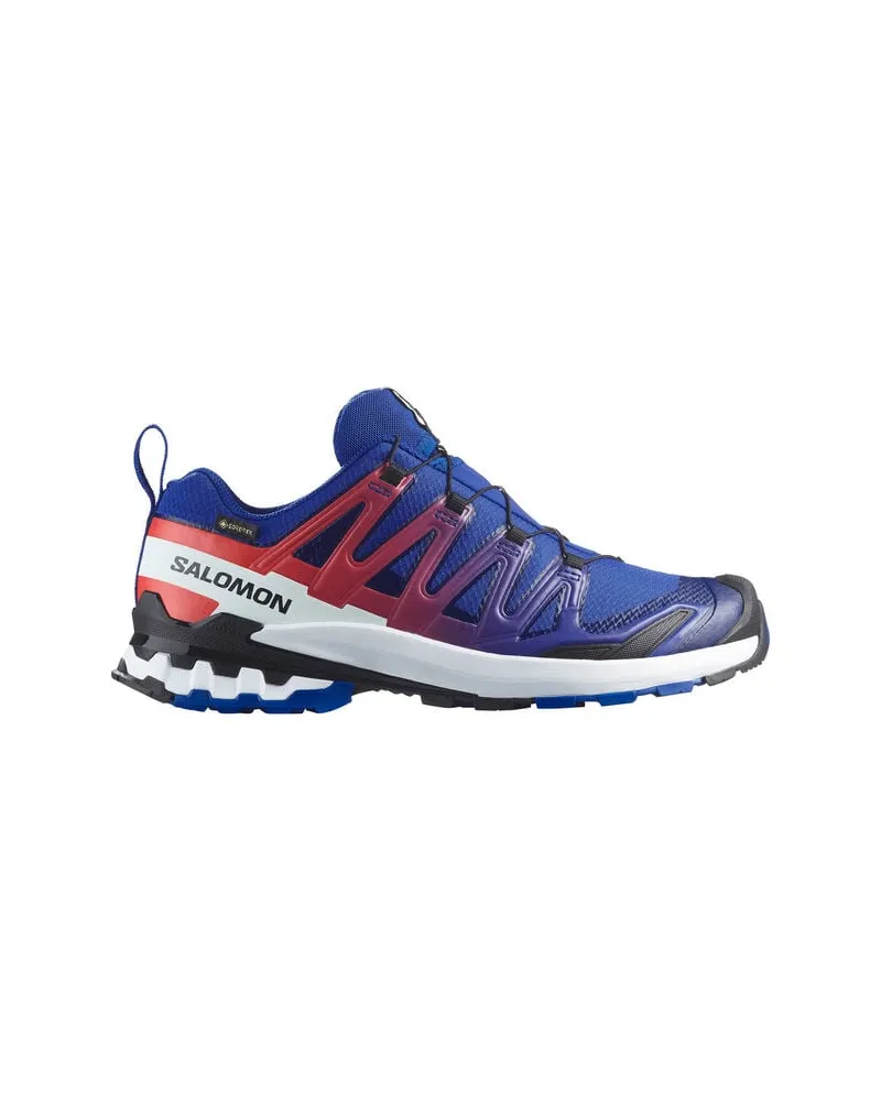 Salomon Herren Trailrunningschuhe XA PRO 3D GORE-TEX EQUIPE Blau