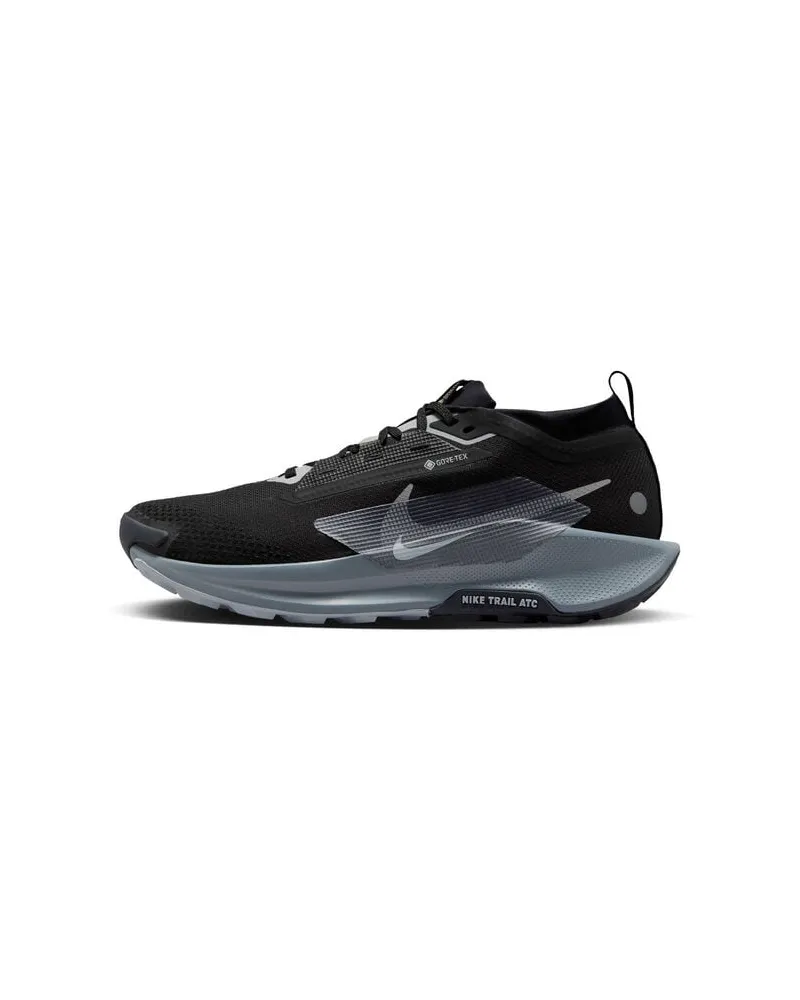 Nike Herren Traillaufschuhe PEGASUS TRAIL 5 GTX Grau