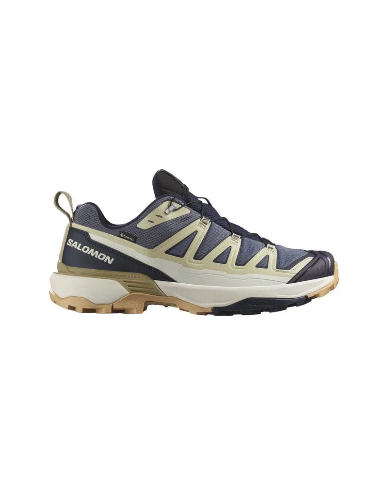 Salomon Herren Wanderschuhe X ULTRA 360 EDGE GORE-TEX Grau