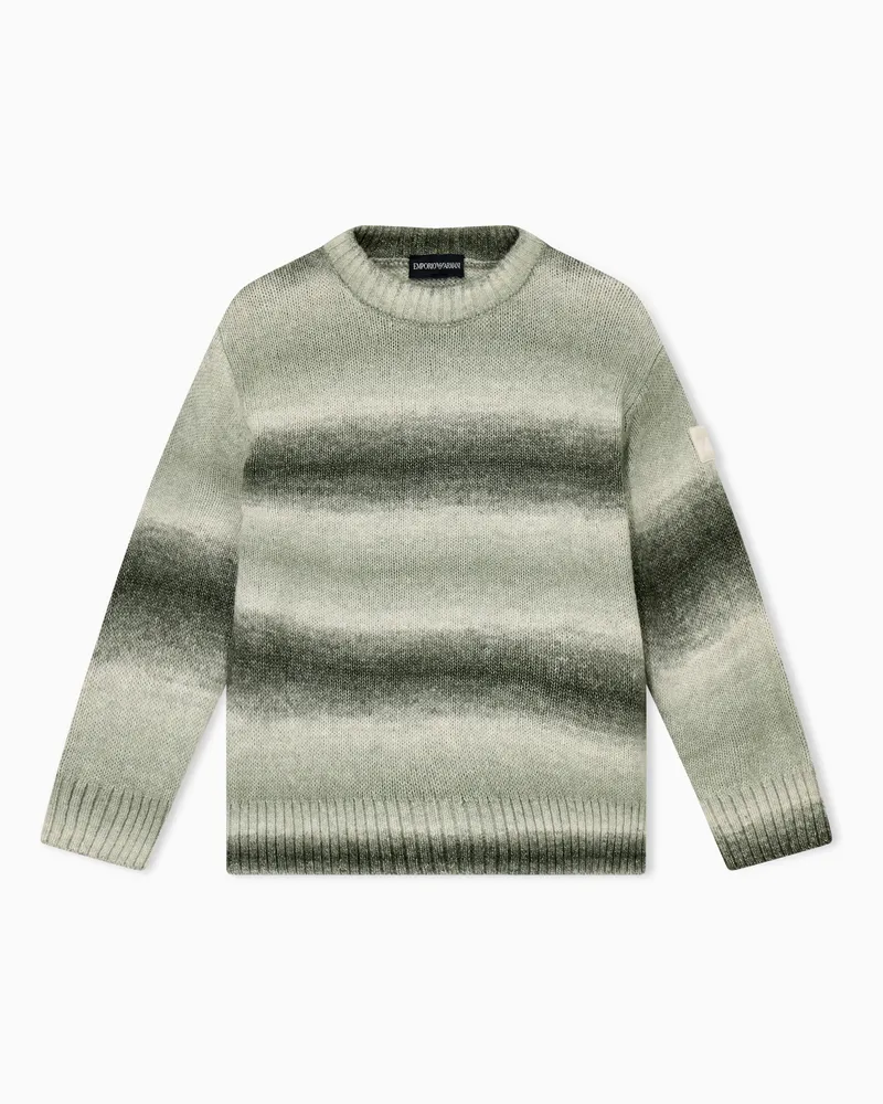 Emporio Armani Strickpullover im Regular Fit mit Rundhalsausschnitt Grün