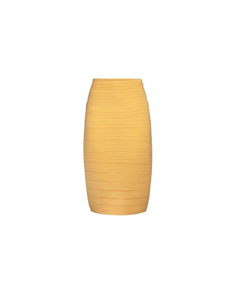 Lanvin HOSEN & RÖCKE - Midi-Röckeauf YOOX.COM Ringelblume