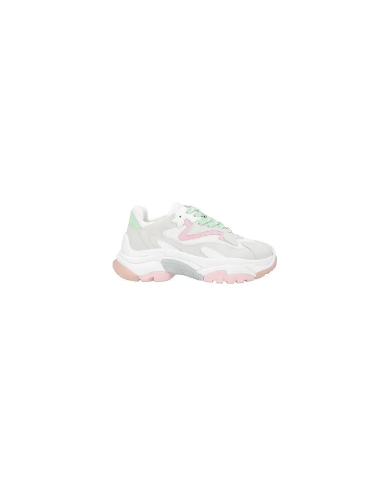 ash SCHUHE - Sneakersauf YOOX.COM Hellgrau
