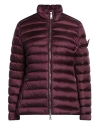 ADD Pufferjacke & Daunenjacke Bordeaux