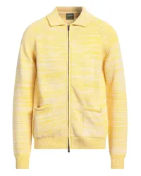 LARDINI Strickjacke Gelb