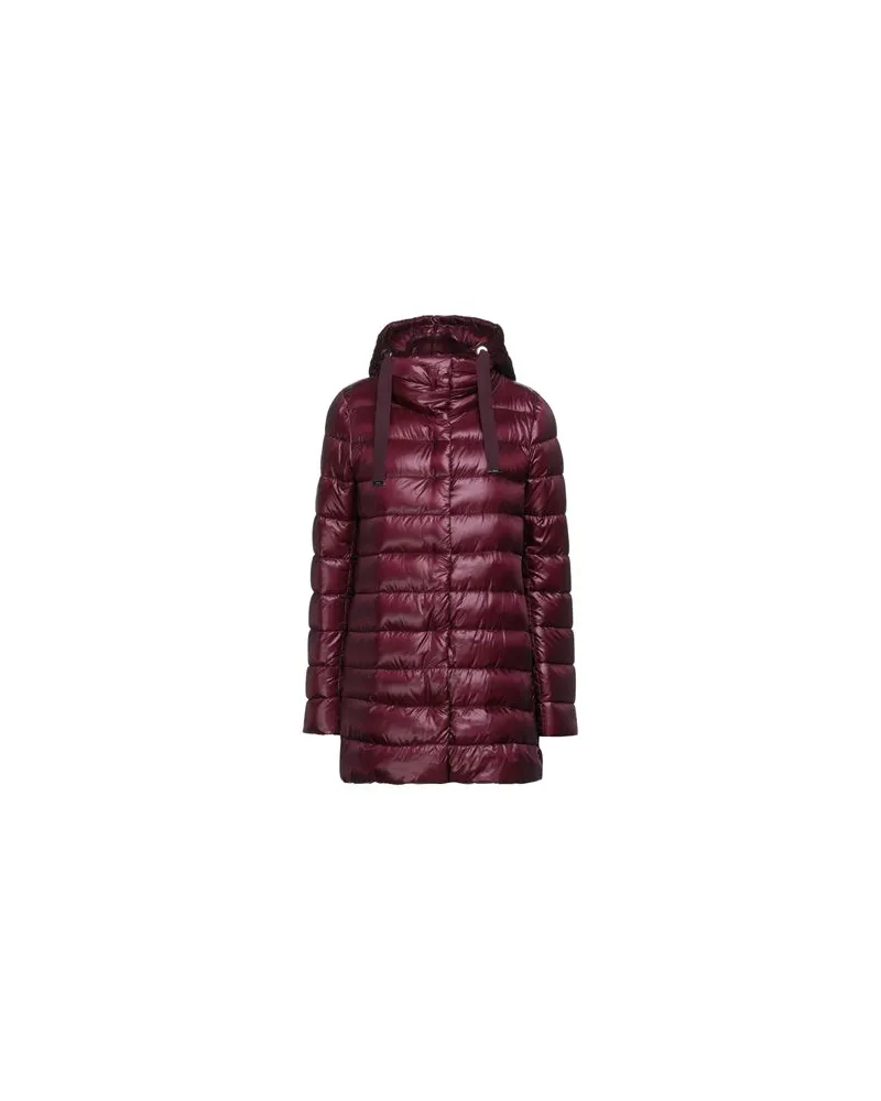 Herno JACKEN & MÄNTEL - Pufferjacken & Daunenjackenauf YOOX.COM Pflaume
