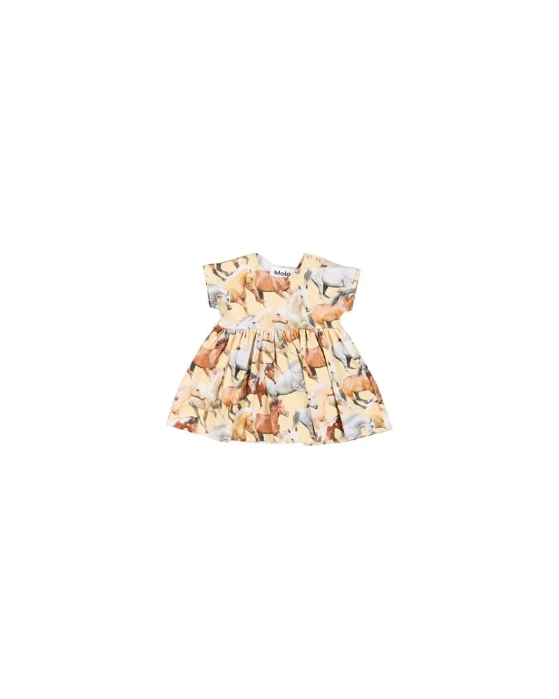 Molo NEUGEBORENE - Babykleiderauf YOOX.COM Ringelblume