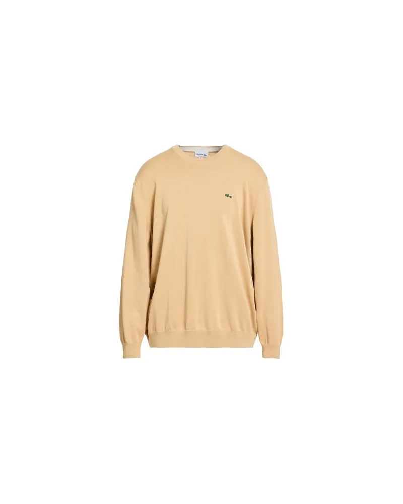 Lacoste STRICKWAREN - Pulloverauf YOOX.COM Beige