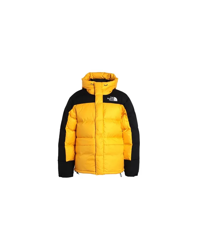 The North Face M HMLYN DOWN PARKA - M HMLYN DOWN PARKA - JACKEN & MÄNTEL - Pufferjacken & Daunenjackenauf YOOX.COM Ringelblume