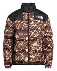 The North Face Pufferjacke & Daunenjacke Schwarz