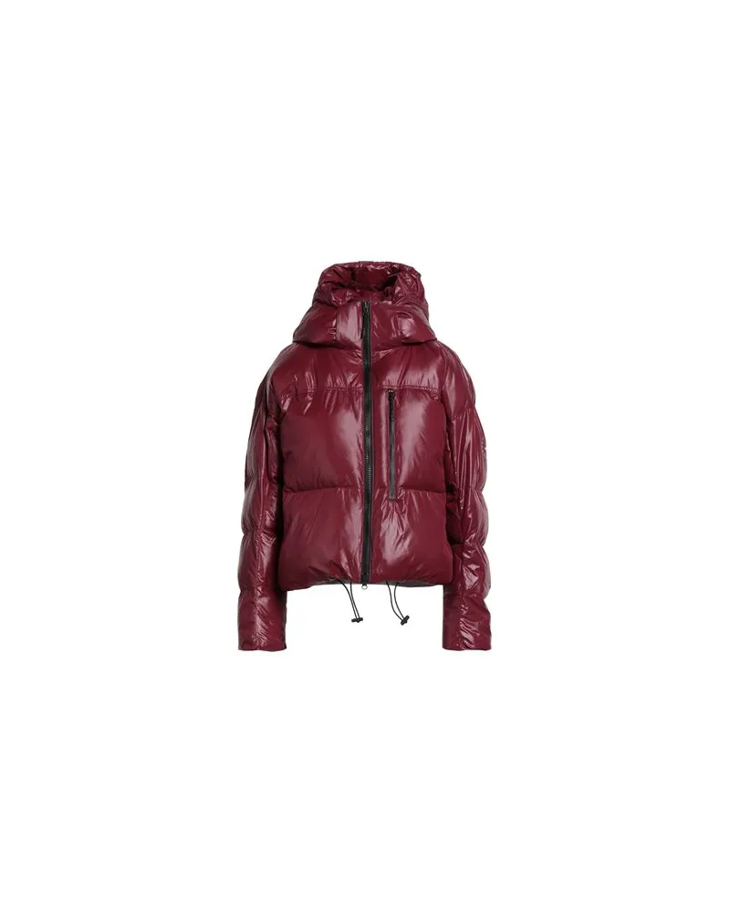 adidas JACKEN & MÄNTEL - Pufferjacken & Daunenjackenauf YOOX.COM Bordeaux