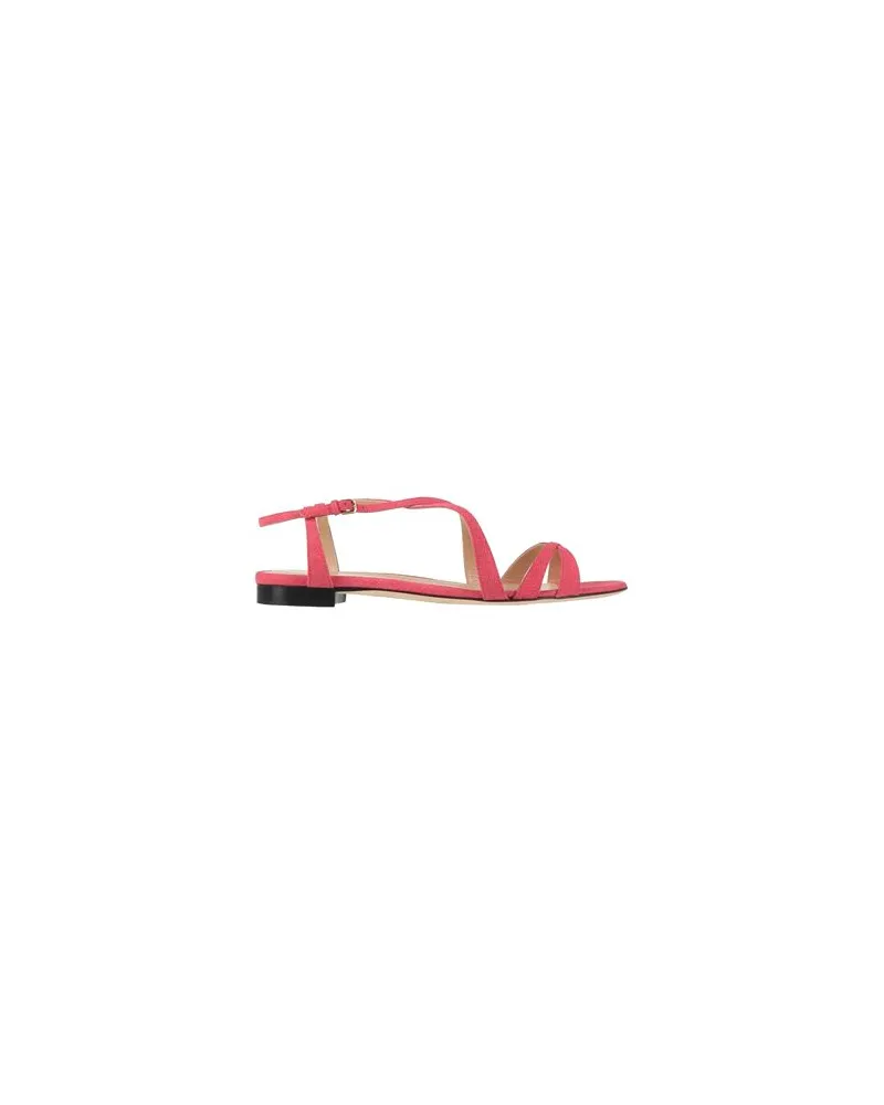 Sergio Rossi SCHUHE - Sandalenauf YOOX.COM Magenta
