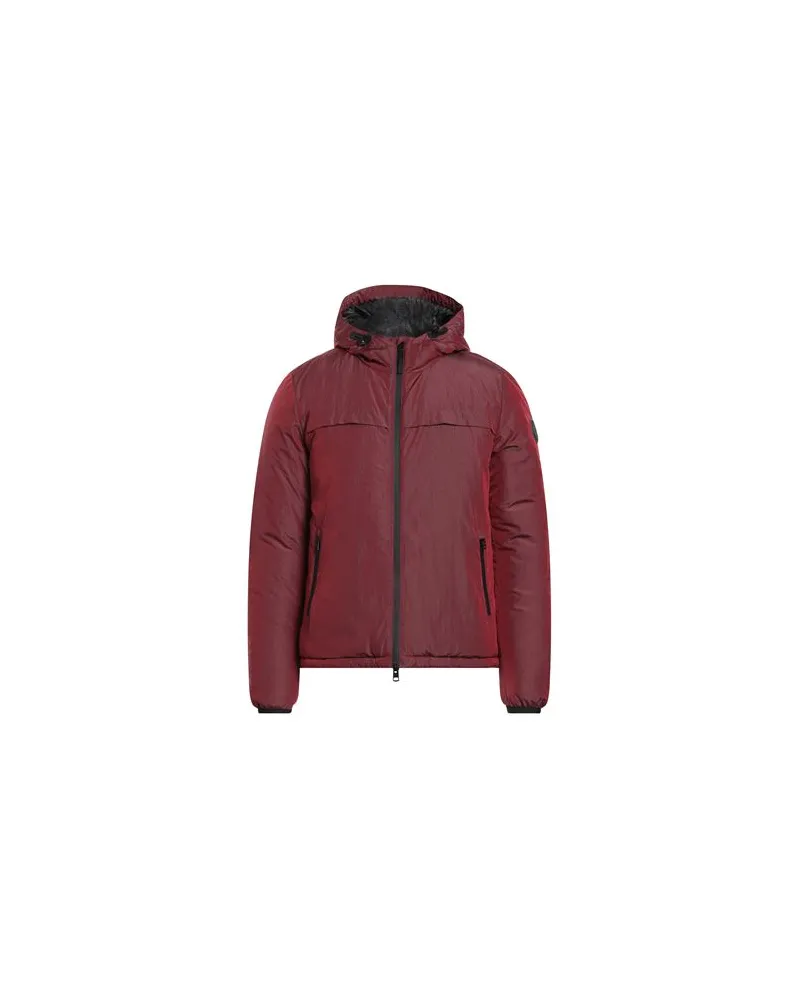 Aeronautica Militare JACKEN & MÄNTEL - Pufferjacken & Daunenjackenauf YOOX.COM Ziegelrot