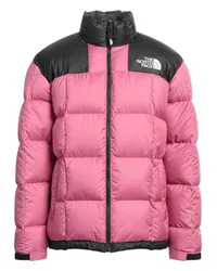 The North Face Pufferjacke & Daunenjacke Malve