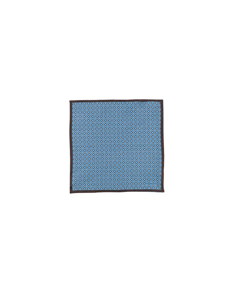 Ermenegildo Zegna ACCESSOIRES - Schalsauf YOOX.COM Blau