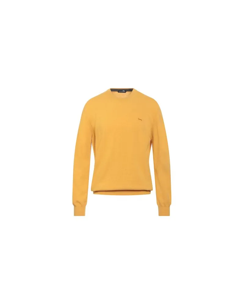 Harmont & Blaine STRICKWAREN - Pulloverauf YOOX.COM Ringelblume