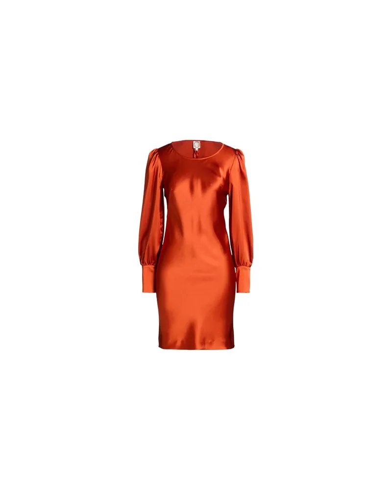 Inès de la Fressange KLEIDER - Maxi-Kleiderauf YOOX.COM Rostrot