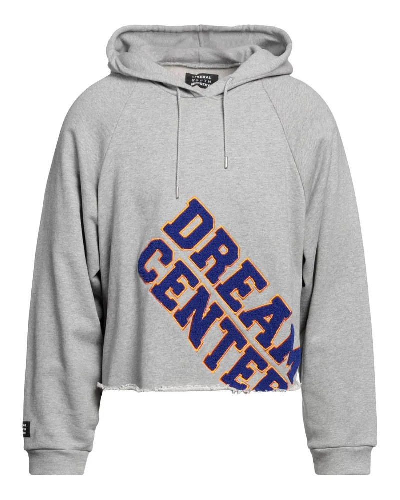 Liberal Youth Ministry Sweatshirt Grau