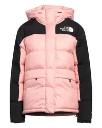 The North Face Pufferjacke & Daunenjacke Rosa