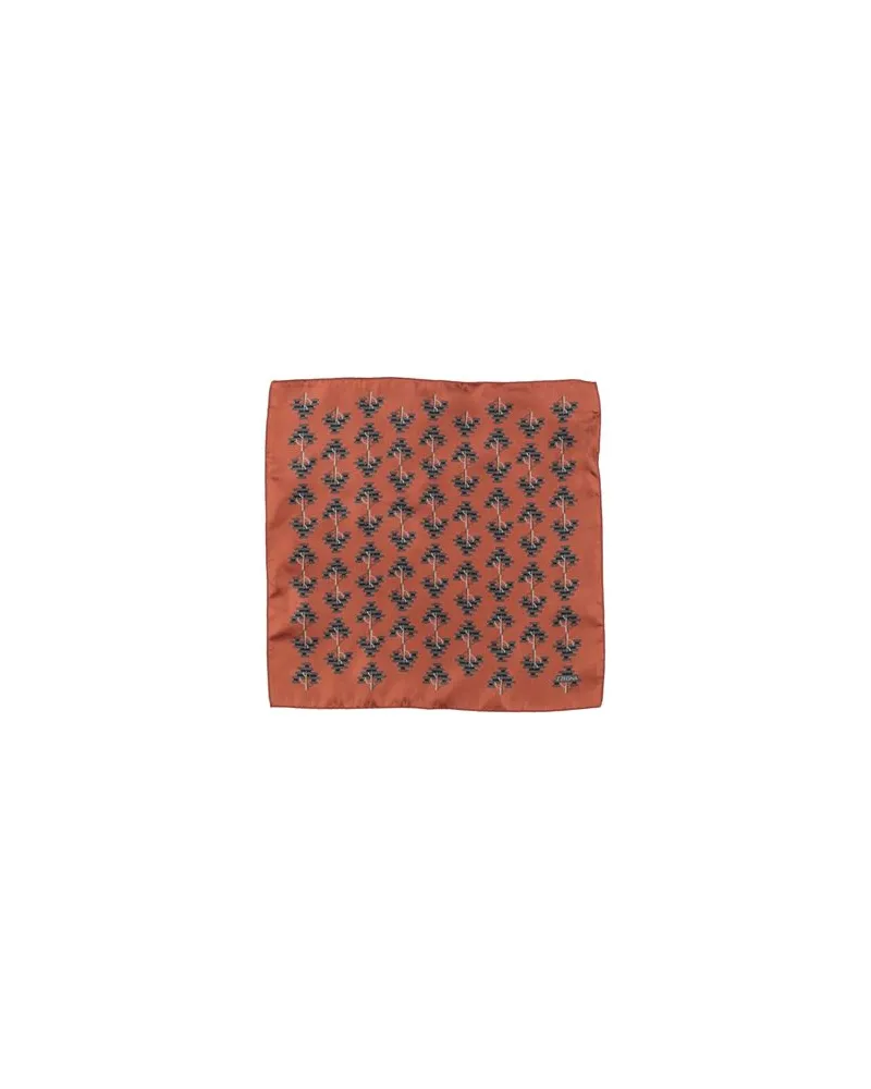 Z Zegna ACCESSOIRES - Schalsauf YOOX.COM Braun